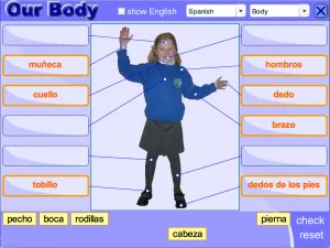 L2_body